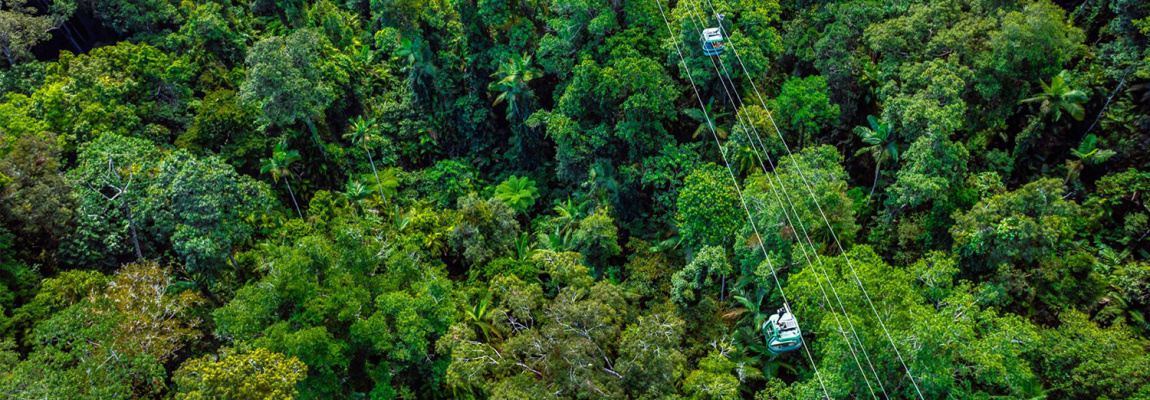 Train Skyrail & Rainforestation - Tourism Town - The Tourism