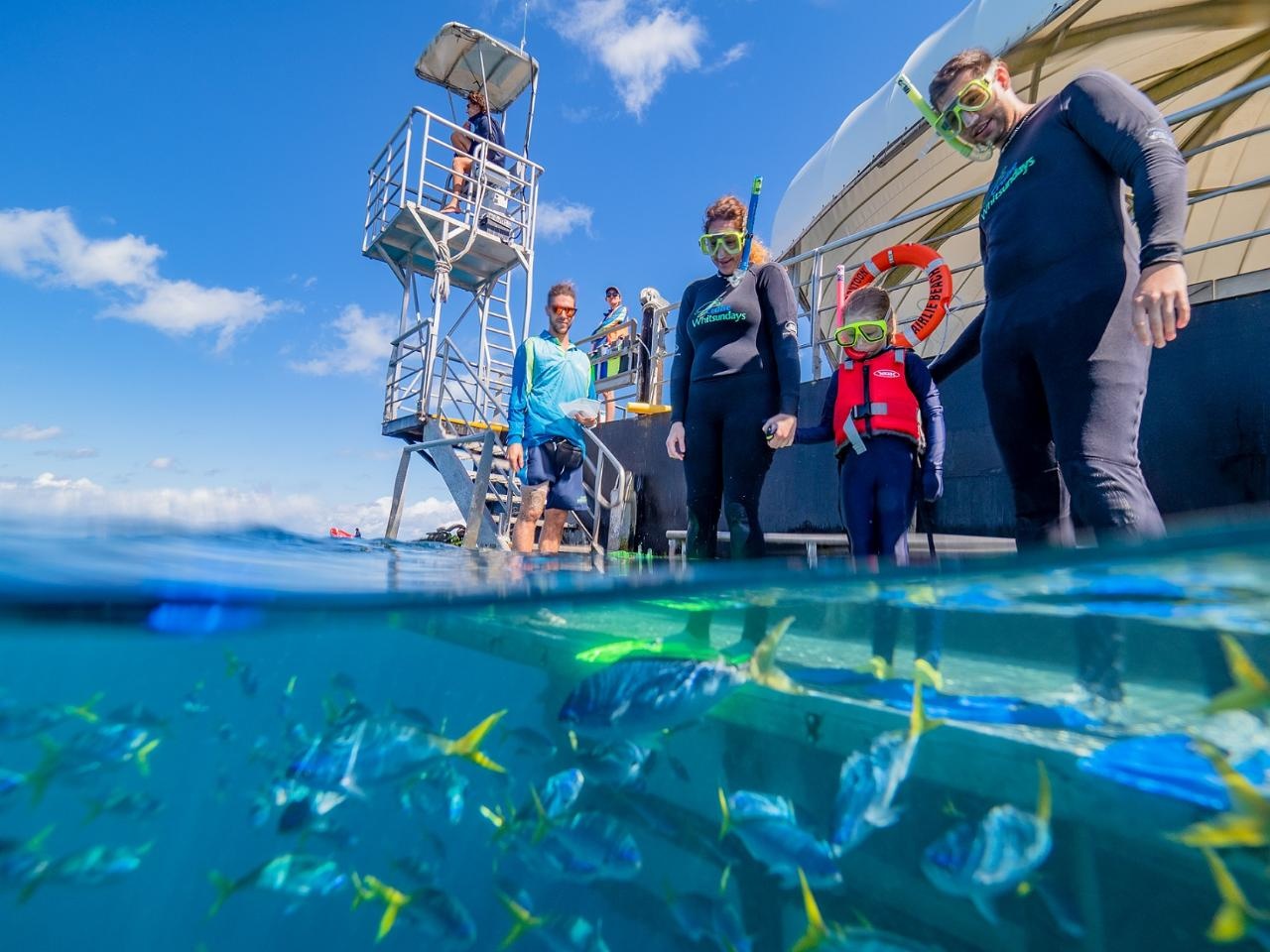 Great Barrier Reef Day Cruise To Reefworld Tourism Town The Tourism Marketplace Find And