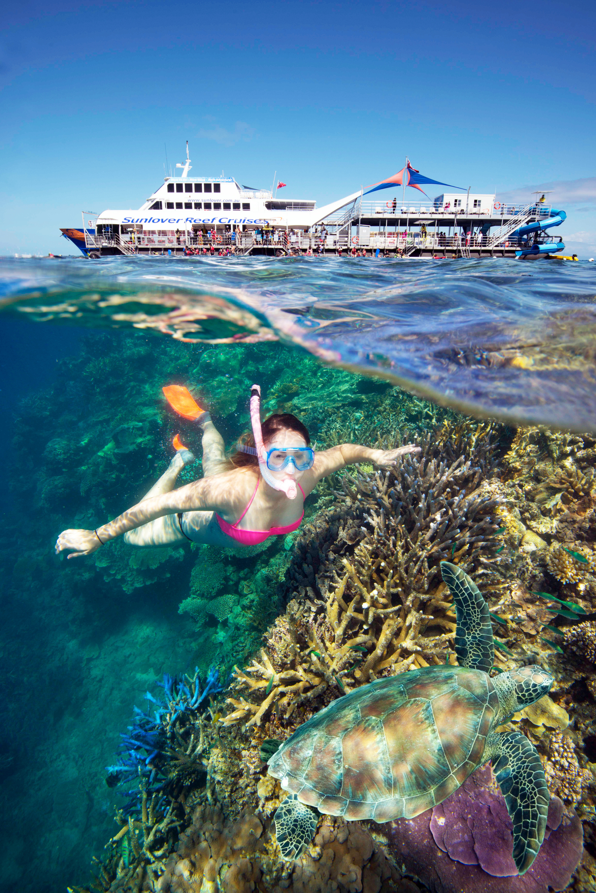 cairns luxury reef tours