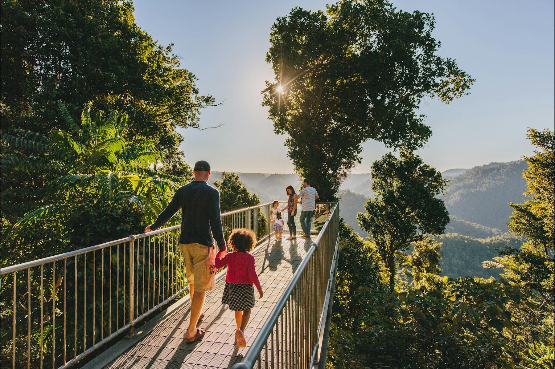 The Mamu Rainforest Canopy Walkway