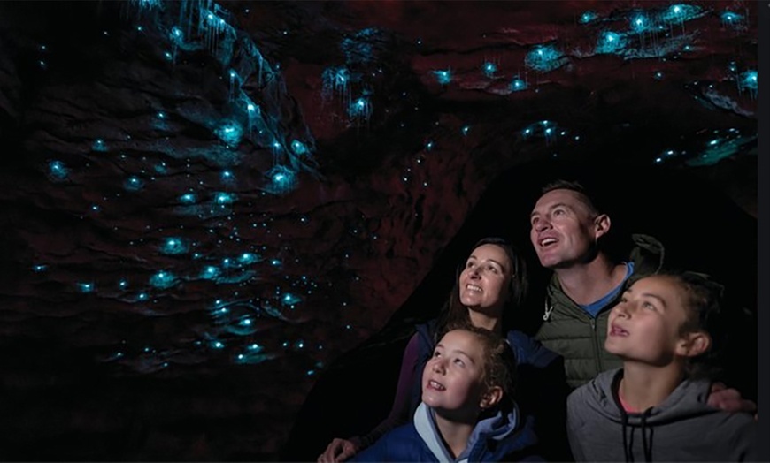 blue mountain glow worm tour