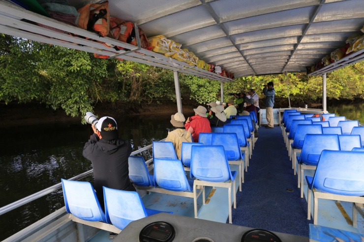 daintree rainforest crocodile tours
