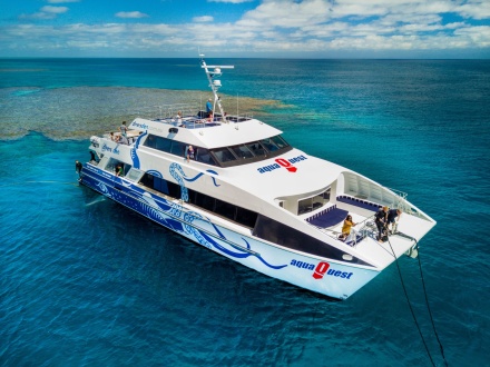coral reef tour cairns