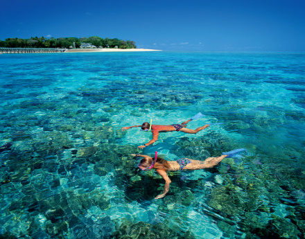 green island snorkelling tours