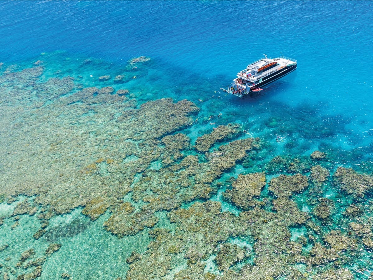Dreamtime | Great Barrier Reef Experience