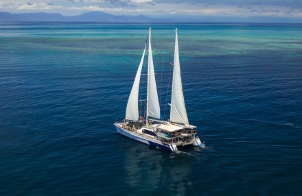 best outer reef cruise cairns