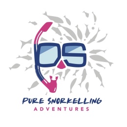 Pure Snorkelling | Afternoon Reef Tour | 12:30 - 5:30pm