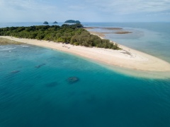 Frankland Islands Day Trip