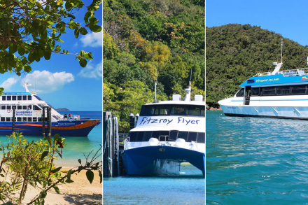 Fitzroy Island Ferry Options from Cairns