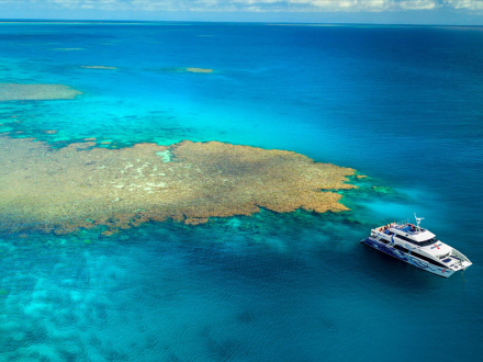 reef experience cruise cairns