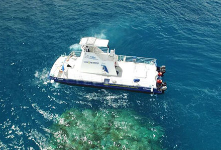 coral reef tour cairns