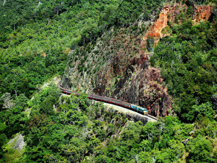 cairns rainforest trips