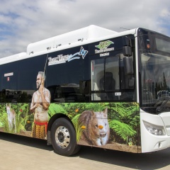 Rainforestation Shuttle Bus