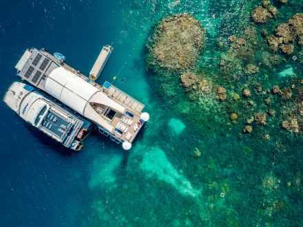 best outer reef cruise cairns