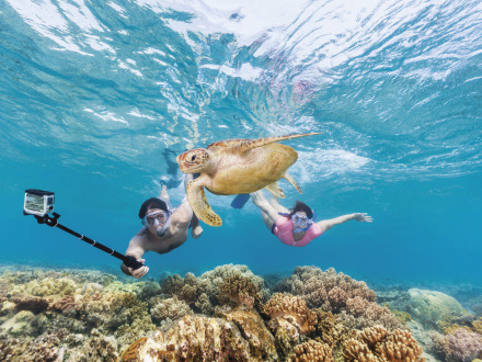 best reef tours from cairns