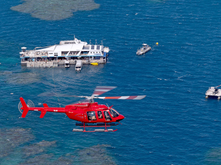 cairns great barrier reef tours catamaran